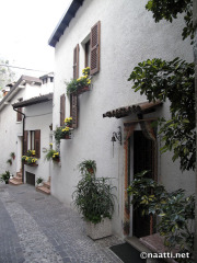 Ornamental plants - Koristekasveja - Limone sul Garda