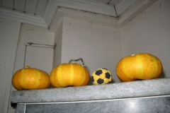 Decorative mini pumpkins - Pienet koristekurpitsat