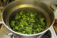 Steaming broccoli - Parsakaalin höyrytys