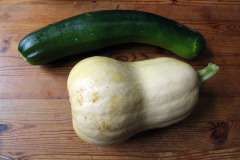 Zucchini and butternut squash - Kesäkurpitsa ja myskikurpitsa