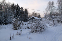Garden in snow - Kasvimaa lumessa