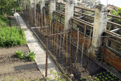 Terrace garden - Pengerpuutarha - Garda