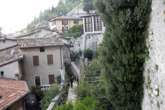 Hanging rosemary - Riippuva rosmariini - Garda