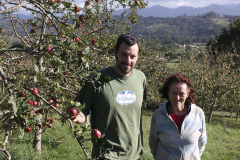 Organic apple farm - Luomuomenatila - El Noc√©u - Spain
