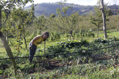 Organic farm - Luomutila - El Noc√©u - Spain