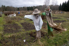 Scarecrow - Variksenpelätin