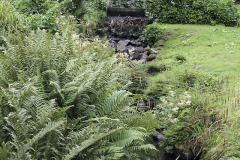 Creek - Puro - Hillsborough Castle park