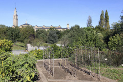 Botanic garden - Kasvitieteellinen puutarha - Gij√≥n Spain