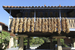 Storing maize - Maissin varastointi - Gij√≥n Spain