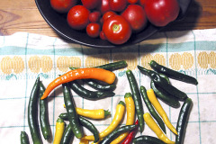 Ripe tomatoes and chili peppers - Kypsiä tomaatteja ja chilejä