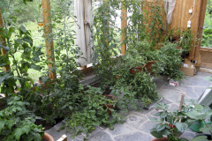 Conservatory in summer - Viherhuone kesällä