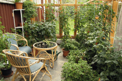 Conservatory as its greenest - Viherhuone vihreimmillään