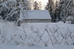 Greenhouse in snow - Kasvihuone lumessa