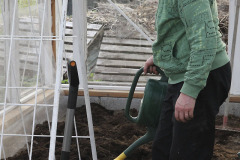 Preparing soil in greenhouse - Mullan muokkaus kasvihuoneessa