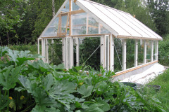 Greenhouse and zucchinis - Kasvihuone ja kesäkurpitsat
