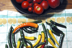 Ripe tomatos and chili peppers - Kypsiä tomaatteja ja chilejä