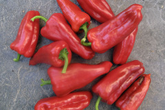 Sweet pepper - Vihannespaprika - Redskin