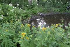 Rainwater retention pond - Sadevesiallas