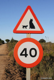 Doñana – Traffic sign for Iberian lynxes
