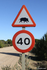 Doñana – Traffic sign for wild boars