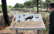 Doñana – Nature trail information board