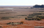Doñana – Marshland and pasture