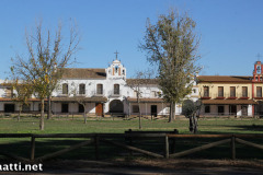 Doñana – Pilgrimage village El Rocío