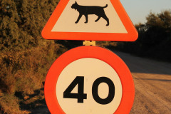 Doñana – Traffic sign for Iberian lynxes