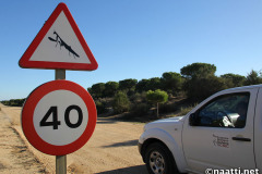 Doñana – Traffic sign for mantises
