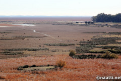 Doñana – Marshland and pasture