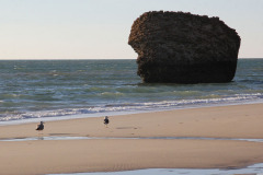 Doñana – Torre de la Higuera ruins at Matalascañas beach