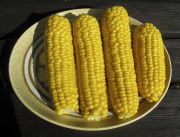 Sweet corn cobs - Makeat maissintähkät