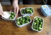 Freezing of brussels sprouts - Ruusukaalien pakastus