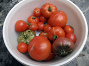 Split tomatoes - Haljenneet tomaatit