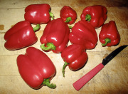 Sweet peppers - Vihannespaprikat - California Wonder