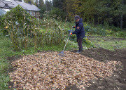 Fall mulching - Katteen levitys syksyllä
