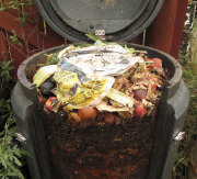 Food waste compost - Ruokajätekomposti