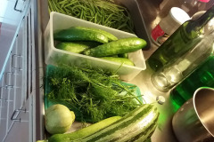 Preserving beans cucumber and zucchini - Pavut kurkku ja kesäkurpitsa säilöntä