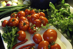 Cooking tomato salsa - Tomaattisalsan teko