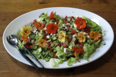 Salad with flowers - Kukikas salaatti