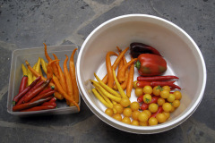 Tomatoes and chili peppers - Tomaatit ja chilit