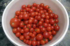 Cherry tomatoes - Kirsikkatomaatit