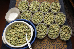 Fava beans to the freezer - Härkäpapujen pakastaminen