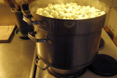 Steaming fava beans - Härkäpapujen höyrytys