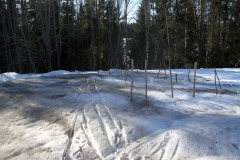 Wood ash on snowy garden - Tuhkan levitys lumelle