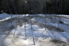 Wood ash on snowy garden - Tuhkan levitys lumelle