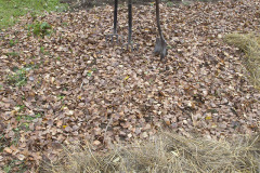 Leaves and straw mulch - Lehti- ja olkikate