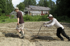 Manual plow on potato patch - Akka-aura perunamaalla