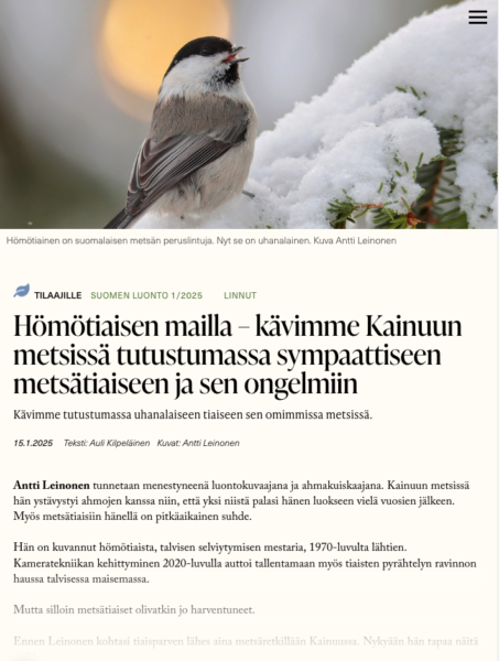 Suomen Luonto -lehdessä julkaistu juttu hömötiaisista ja niiden uhanalaisuudesta. Antti Leinonen, Kainuu, hömötiainen, uhanalaisuus, luonnonvalokuvaus