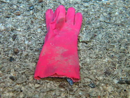Kumihanska, roska Intian valtameressä. Rubber glove in Indian Ocean. Photo: ROV Kiel 6000 -IFM GEOMAR